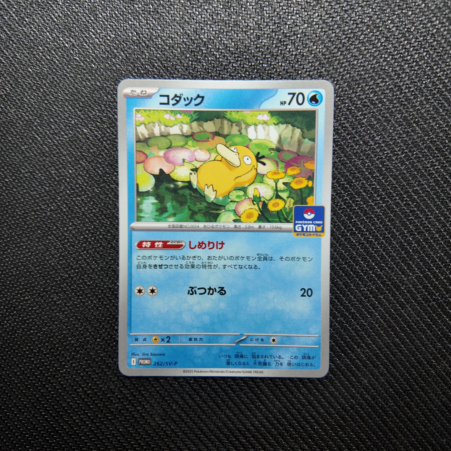 Enton (SV-P 262) NM JAP