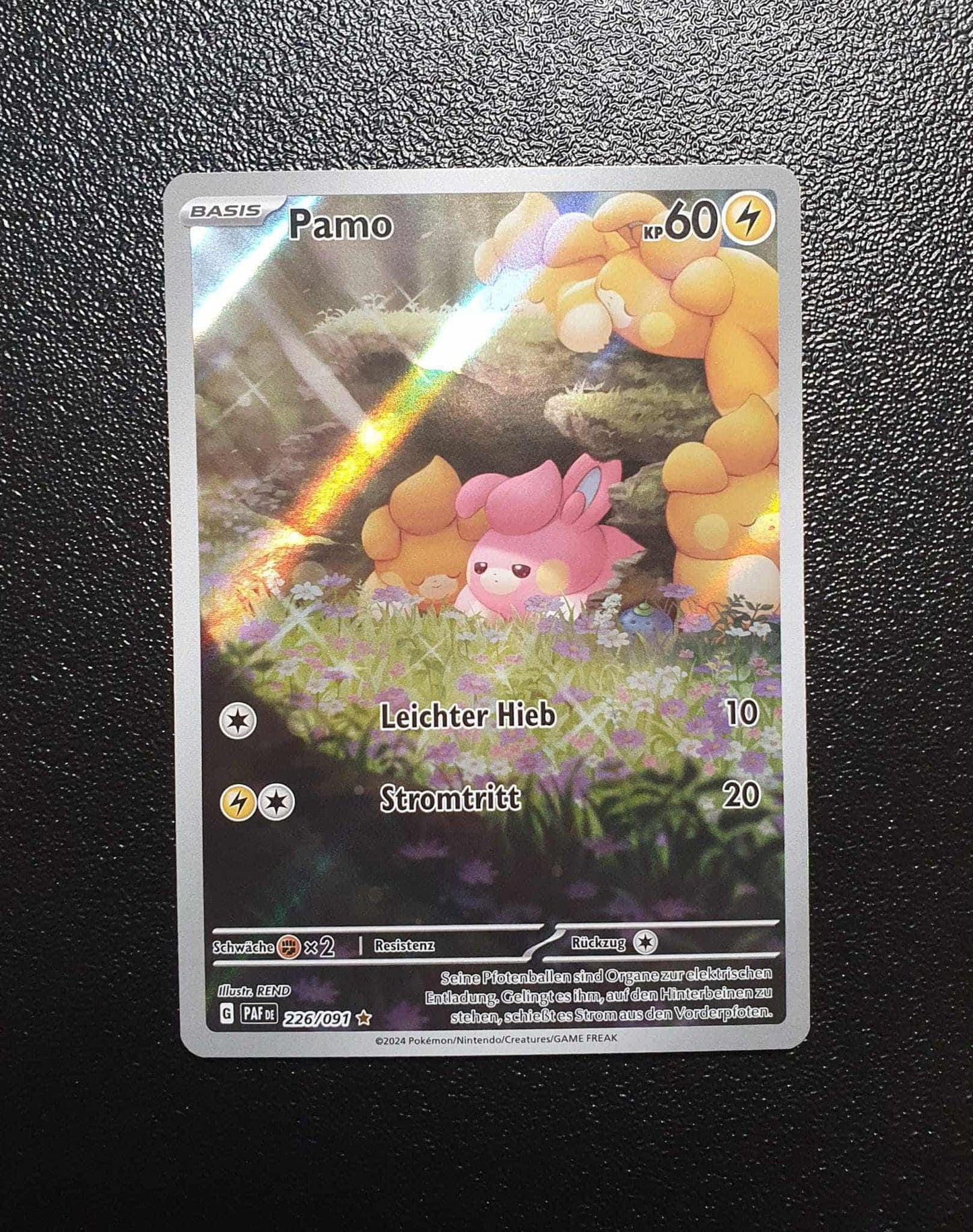 Pamo PAF 226/091 NM DE