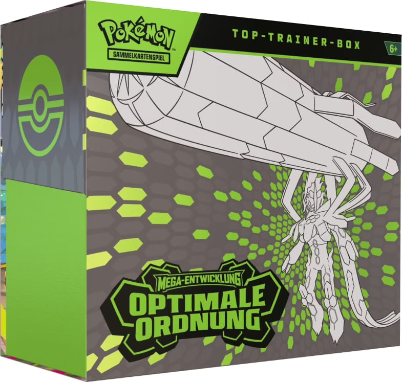 Optimale Ordnung - Top Trainer Box