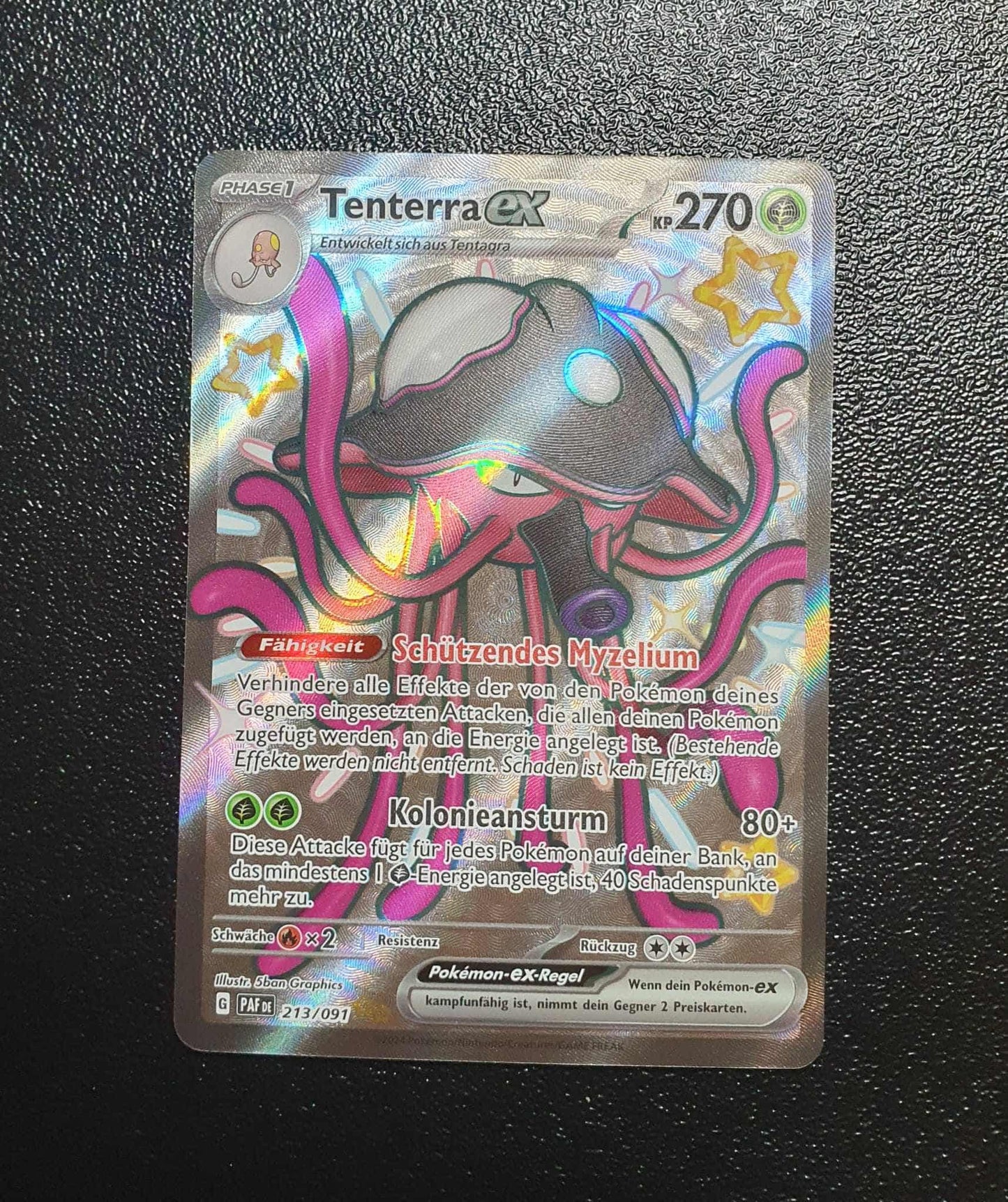 Tenterra ex PAF 213/091 NM DE